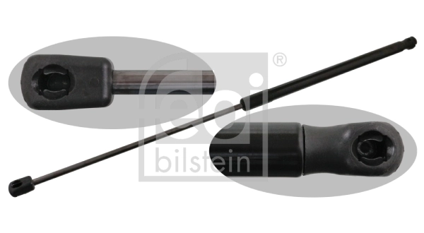 Gas Spring, boot/cargo area